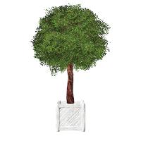 Laden Sie das Bild in den Galerie-Viewer, meinHausplaner-Symbolkatalog Garten