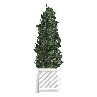 Laden Sie das Bild in den Galerie-Viewer, meinHausplaner-Symbolkatalog Garten