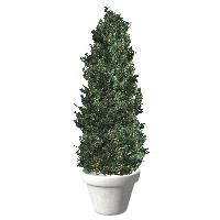 Laden Sie das Bild in den Galerie-Viewer, meinHausplaner-Symbolkatalog Garten