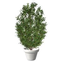 Laden Sie das Bild in den Galerie-Viewer, meinHausplaner-Symbolkatalog Garten